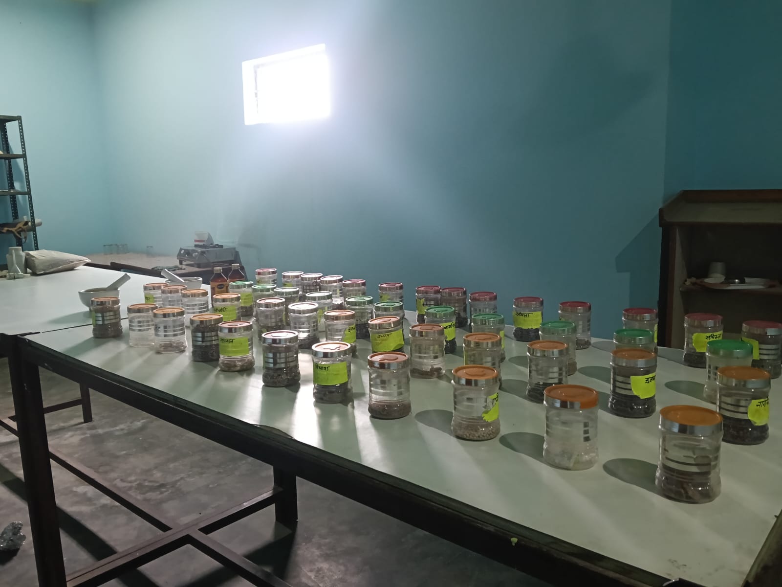 Pharmacognosy lab with labelled specimen jars